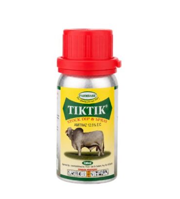 TIKTIK